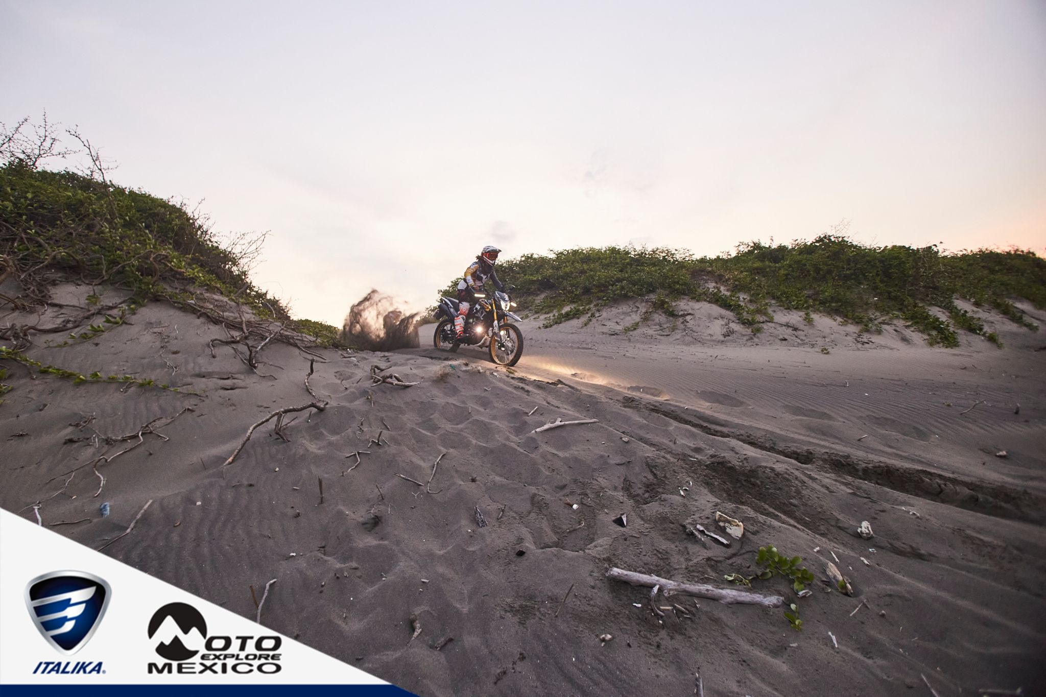 ITALIKA CHACHALACAS D1 428